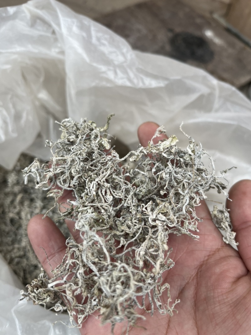 张家界莓茶