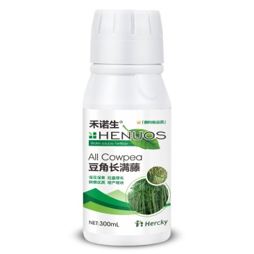 禾诺生豆角长满藤