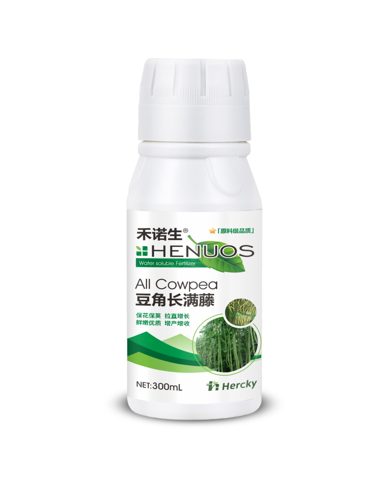 禾诺生豆角长满藤
