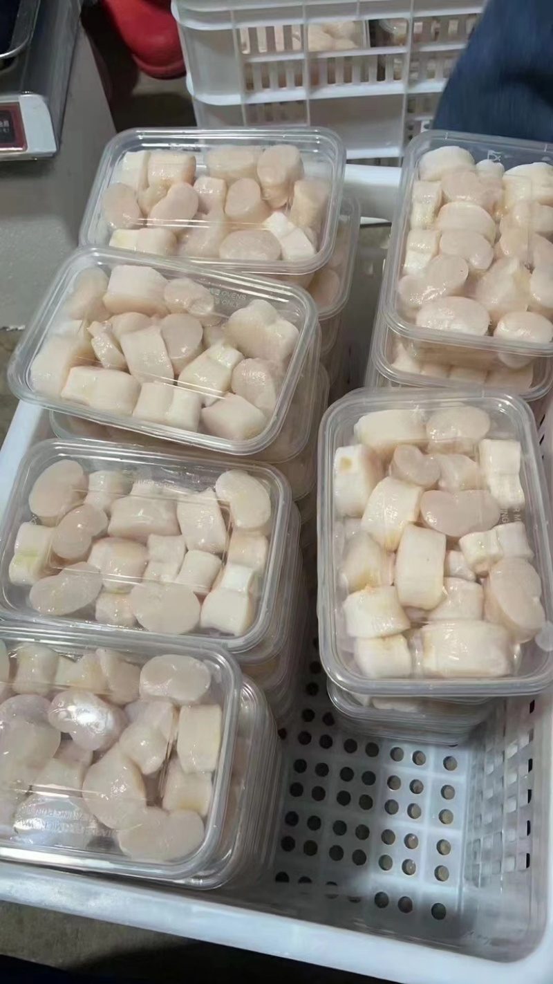 江瑶贝瑶柱