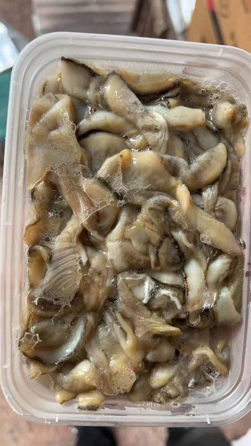 江瑶贝瑶柱