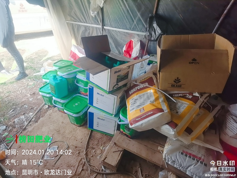 大量元素提苗肥（德国进口）公司政策：买十送一