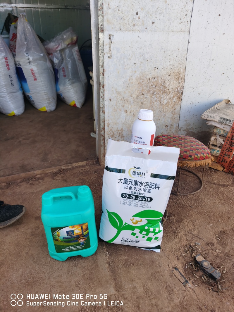 大量元素提苗肥（德国进口）公司政策：买十送一
