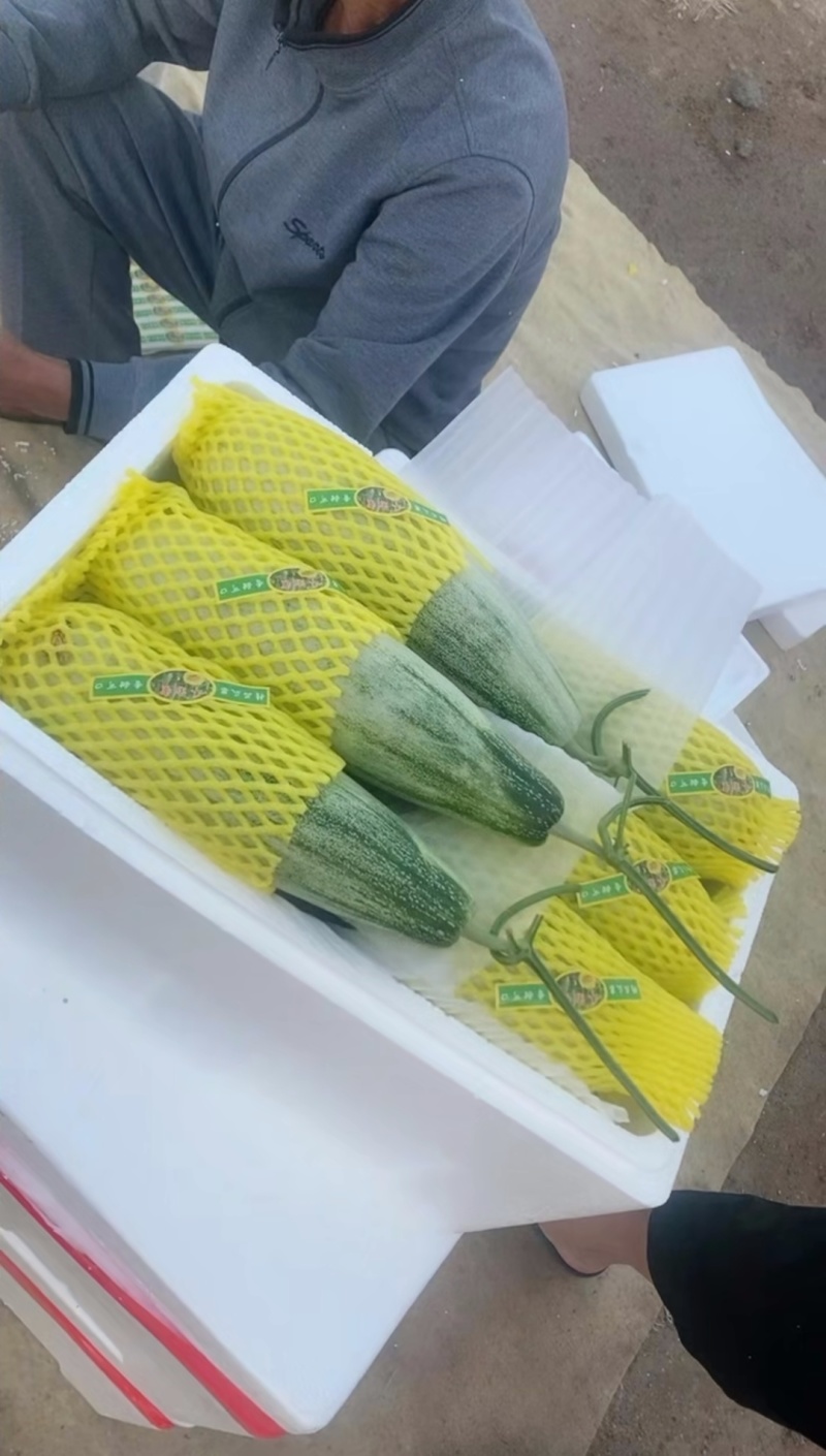 好货低价精品羊角蜜甜瓜1斤以上新货上市，欢迎咨询大量有货