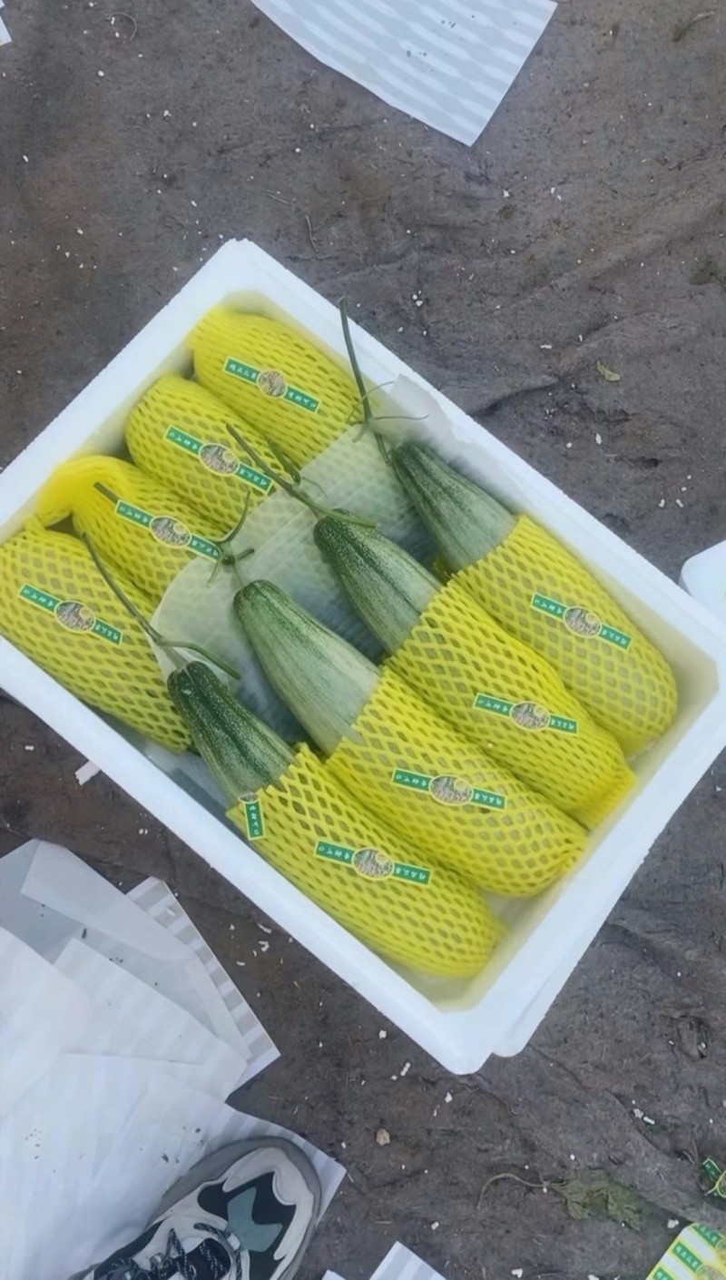 好货低价精品羊角蜜甜瓜1斤以上新货上市，欢迎咨询大量有货