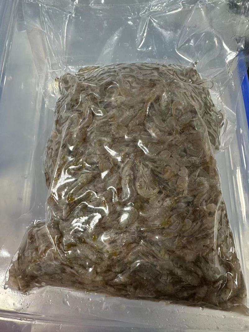 【推荐】鲜冻小河虾产地直发，自然水域生态捕捞，量大从优