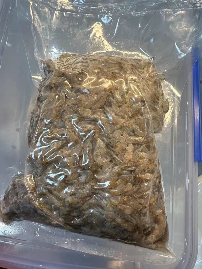 【推荐】鲜冻小河虾产地直发，自然水域生态捕捞，量大从优