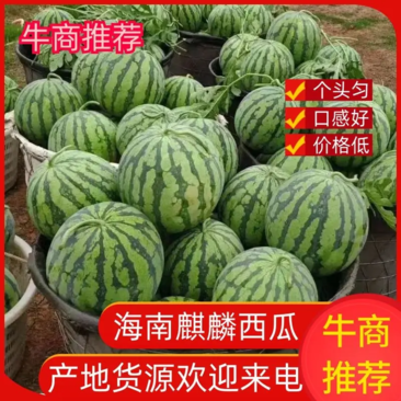 【推荐】海南精品麒麟西瓜，产地货源，对接大型批发