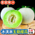 山东冰淇淋玉菇甜瓜一件代发对接各大电商平台商超多多量大价