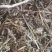 花生秧基地直供规格品种多样各种包装量大从优电联采购