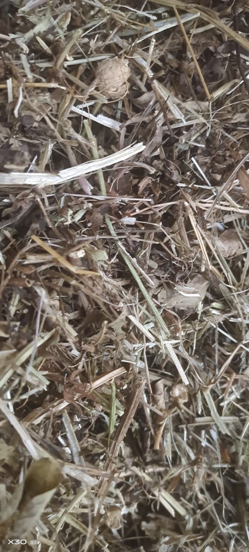 花生秧基地直供规格品种多样各种包装量大从优电联采购