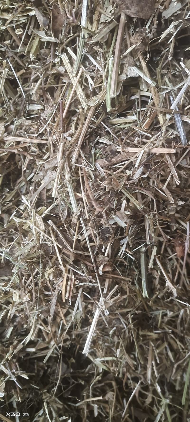 花生秧基地直供规格品种多样各种包装量大从优电联采购