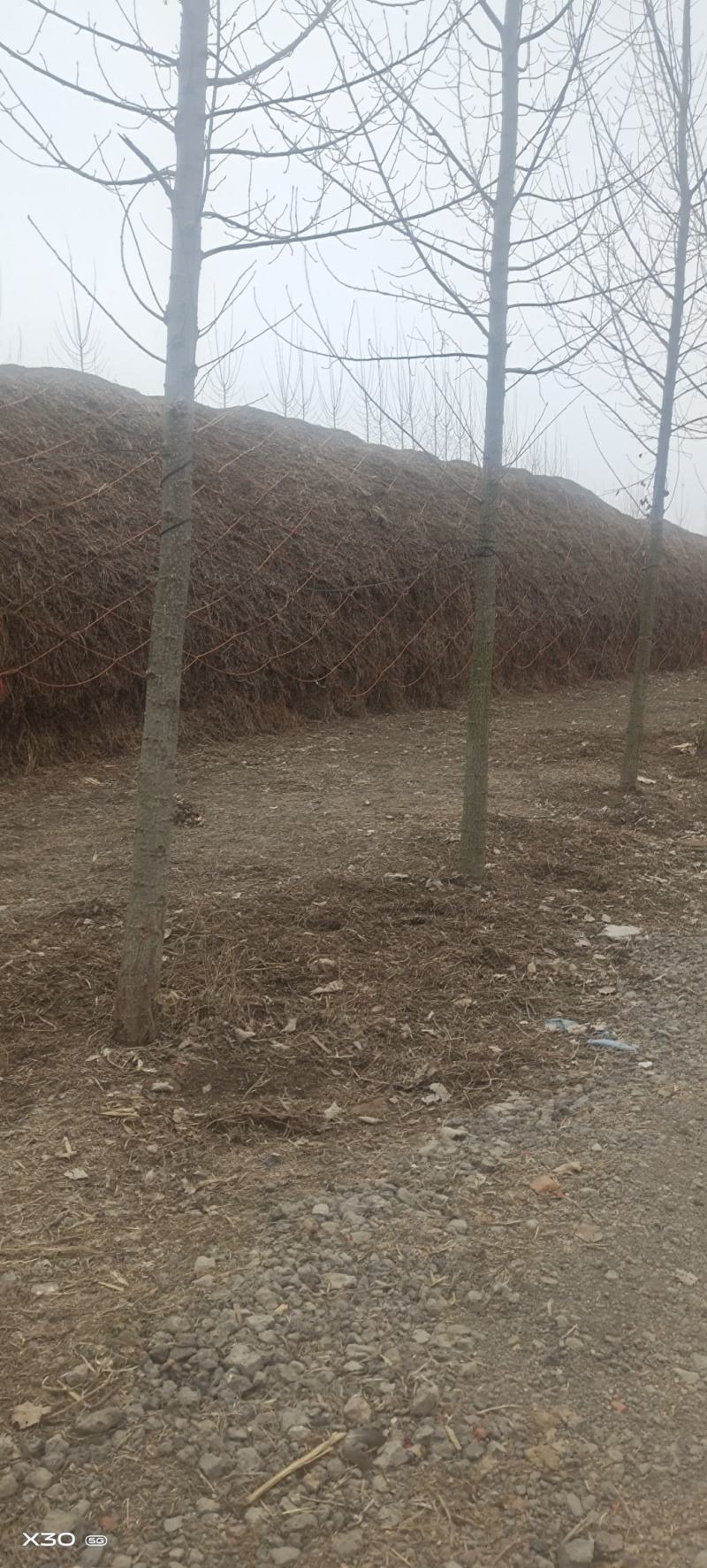 花生秧基地直供规格品种多样各种包装量大从优电联采购