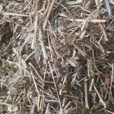 花生秧基地直供规格品种多样各种包装量大从优电联采购