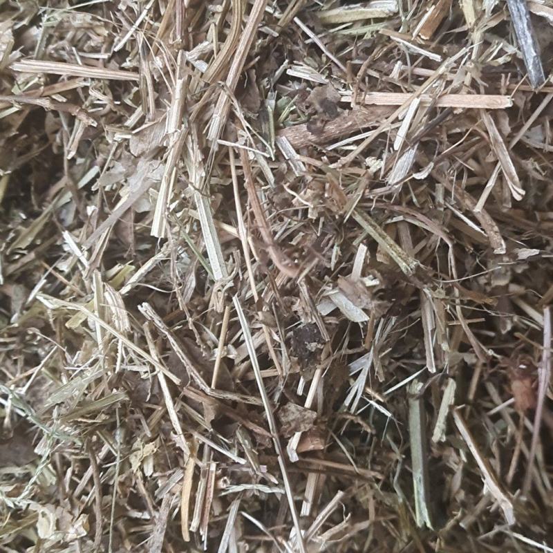 花生秧基地直供规格品种多样各种包装量大从优电联采购