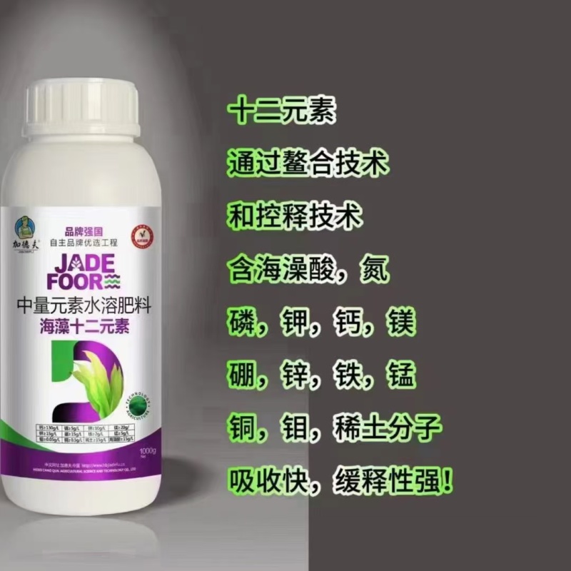 海藻十二元素公司政策：买五送一