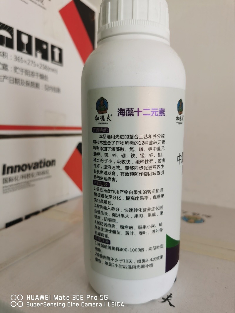 海藻十二元素公司政策：买五送一