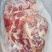 驴肉