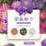 翠菊种子大花矮生庭院盆栽花卉种籽阳台绿植重瓣菊花易活四季
