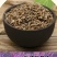 翠菊种子大花矮生庭院盆栽花卉种籽阳台绿植重瓣菊花易活四季