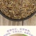 翠菊种子大花矮生庭院盆栽花卉种籽阳台绿植重瓣菊花易活四季
