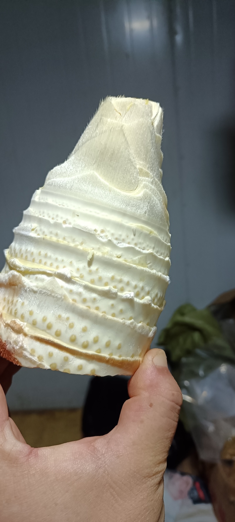 精品野生赤水冬笋