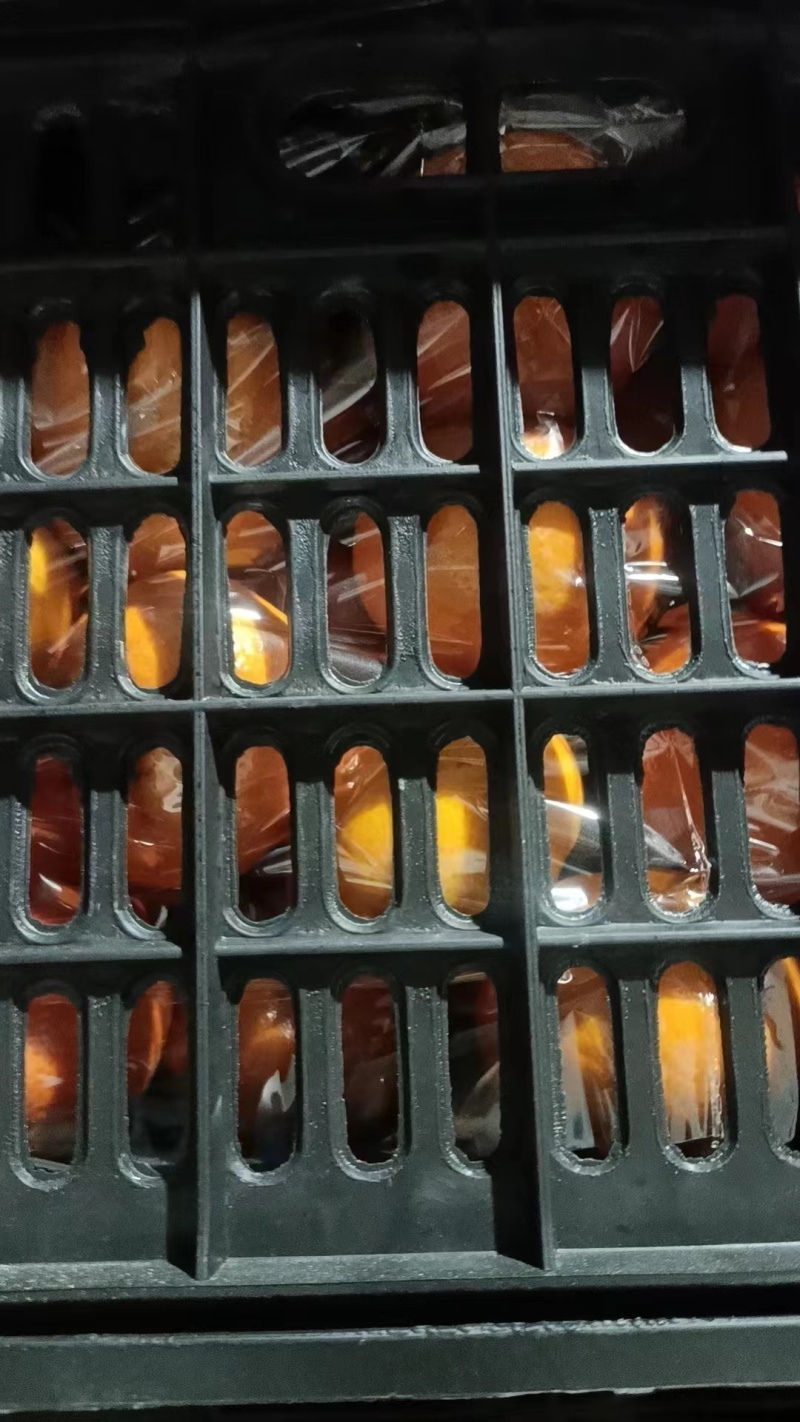 广西武鸣沃柑，供应电商，社区团购，商超，各种规格