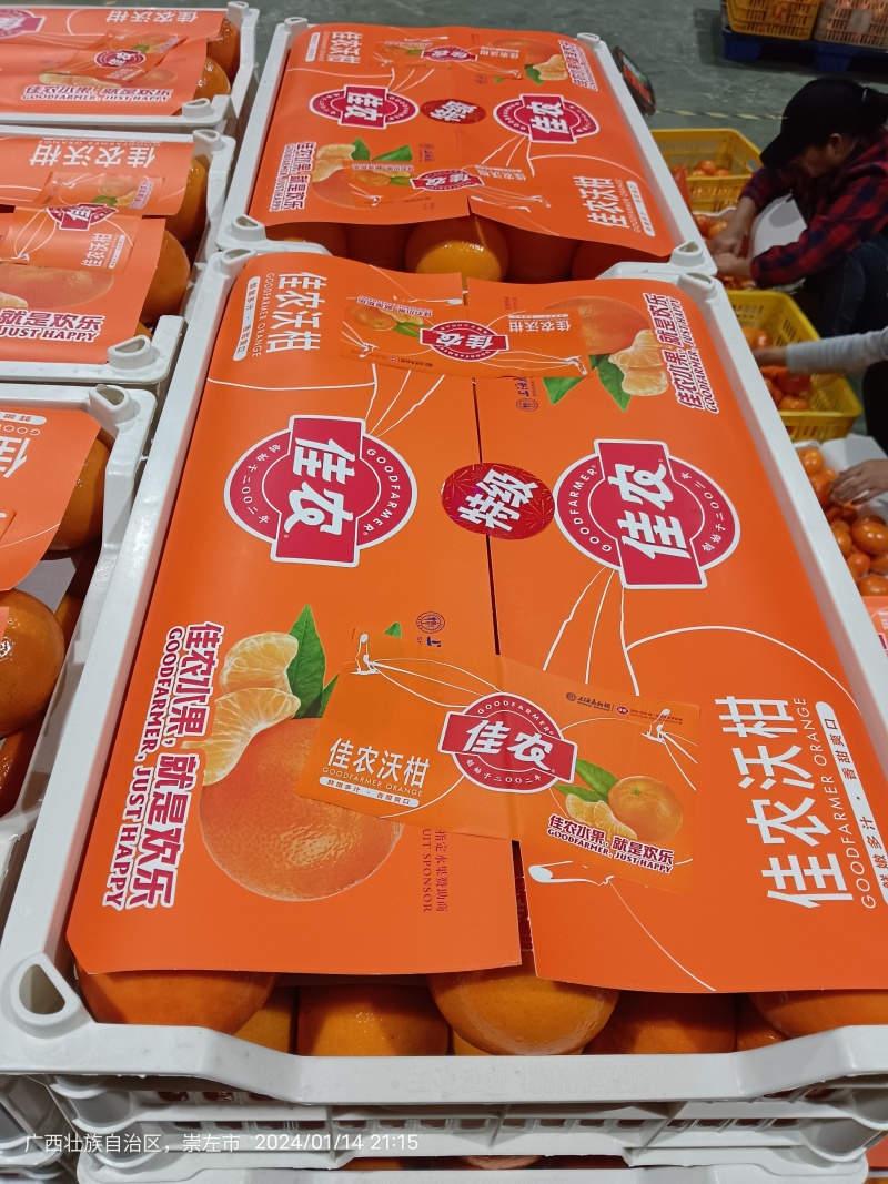 广西武鸣沃柑，供应电商，社区团购，商超，各种规格
