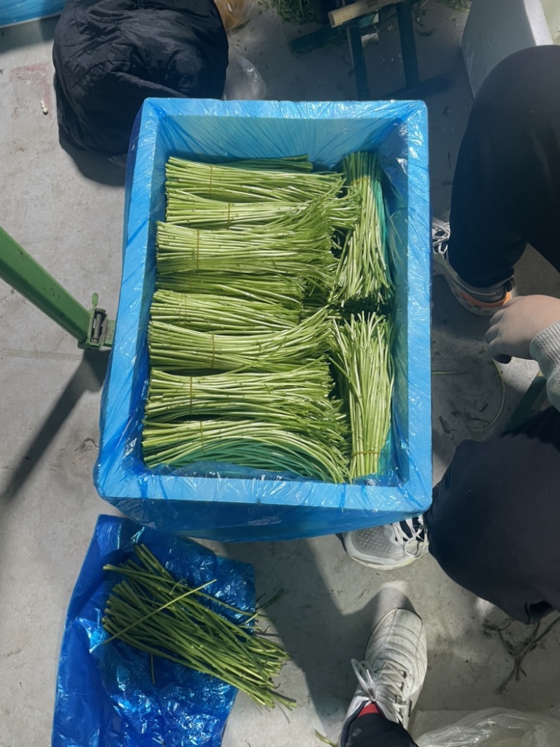 芦篙我们是认真的，做好做大。服务态度决定一切。