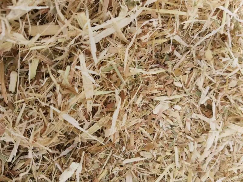 白城大量现货玉米秸秆柔丝小方包
