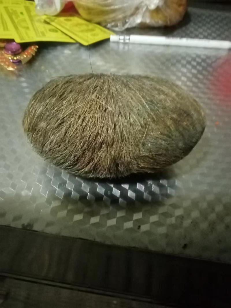 猪宝