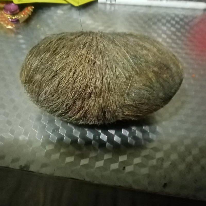 猪宝