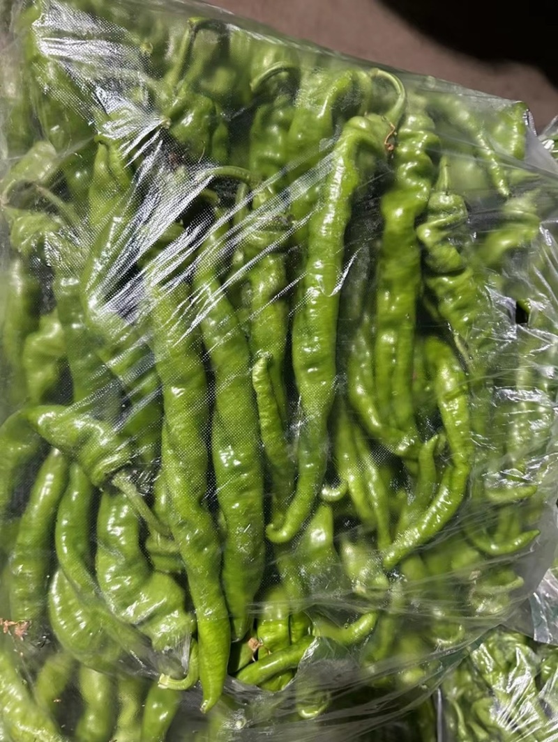 精品螺丝椒大量上市中，鲜辣椒，螺线椒，安顺螺丝椒产地发货