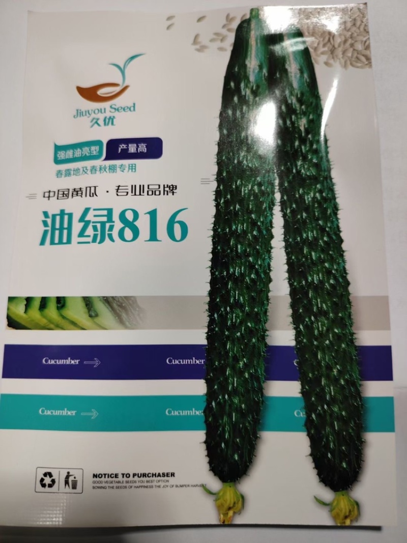 油绿816强雌密刺黄瓜种子油亮油绿型高抗霜霉白粉