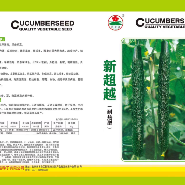 新超越密刺感产早熟耐热品种雌花较密易管理