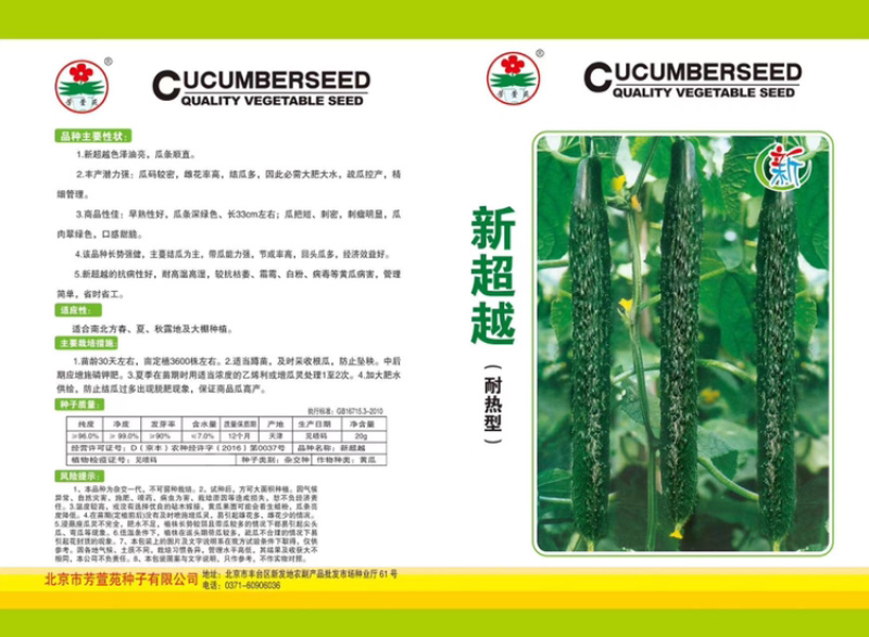 新超越密刺感产早熟耐热品种雌花较密易管理