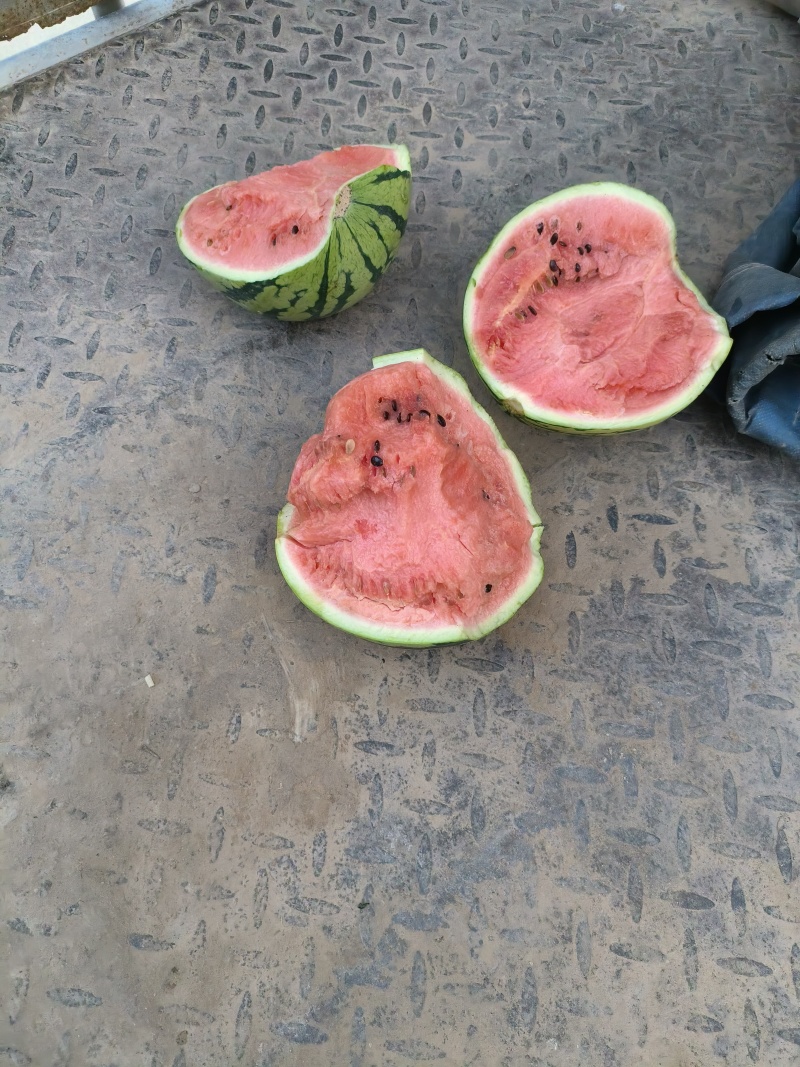 麒麟西瓜大量供应现货供应