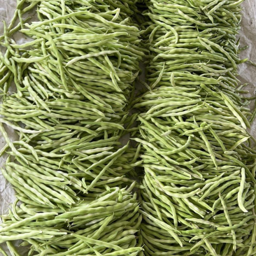 原产地直供精品芸豆上市