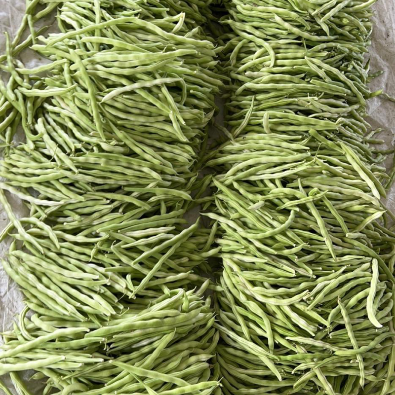 原产地直供精品芸豆上市
