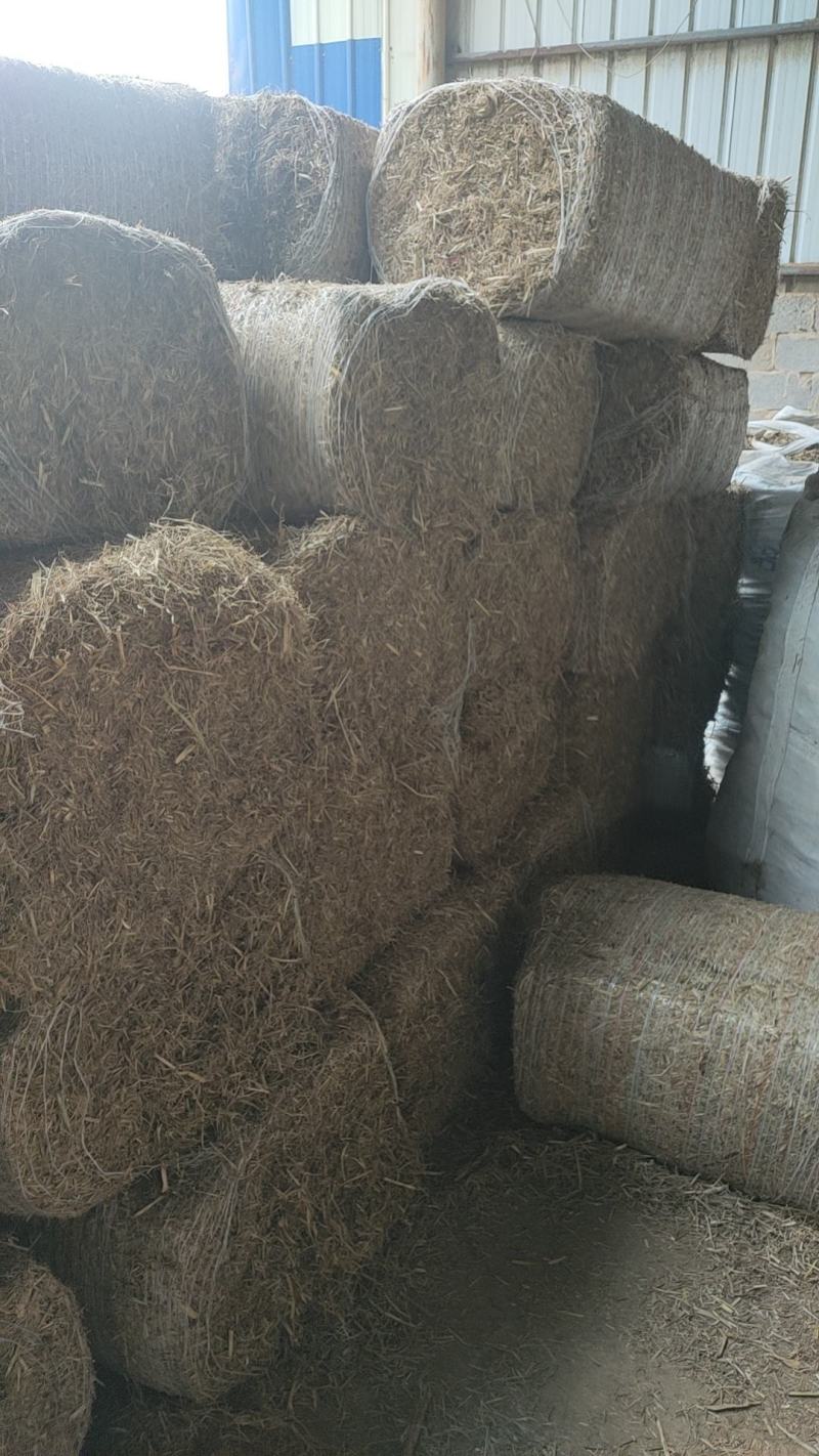干草牧草甘蔗叶