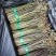 贵州高山精品甜蕨苔大量出货，欢迎老板采购