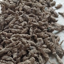 生地个子