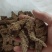生地个子