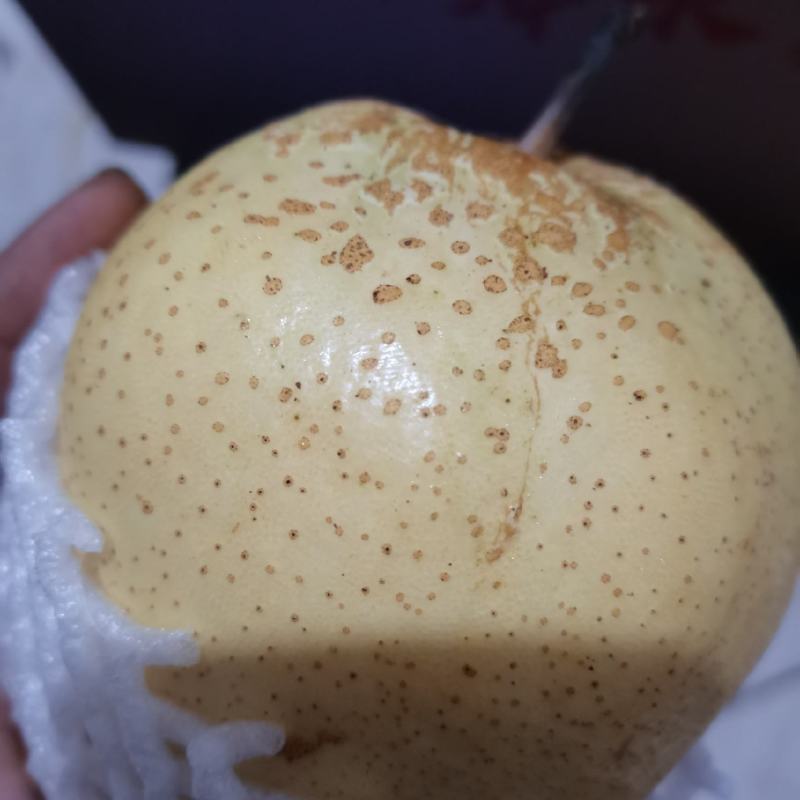 雪花梨