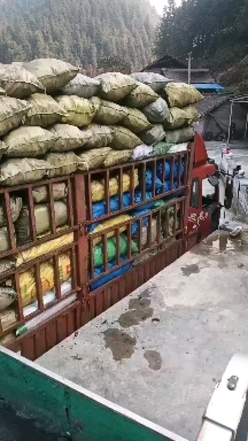 长期供应烤火碳烧烤碳工业碳等