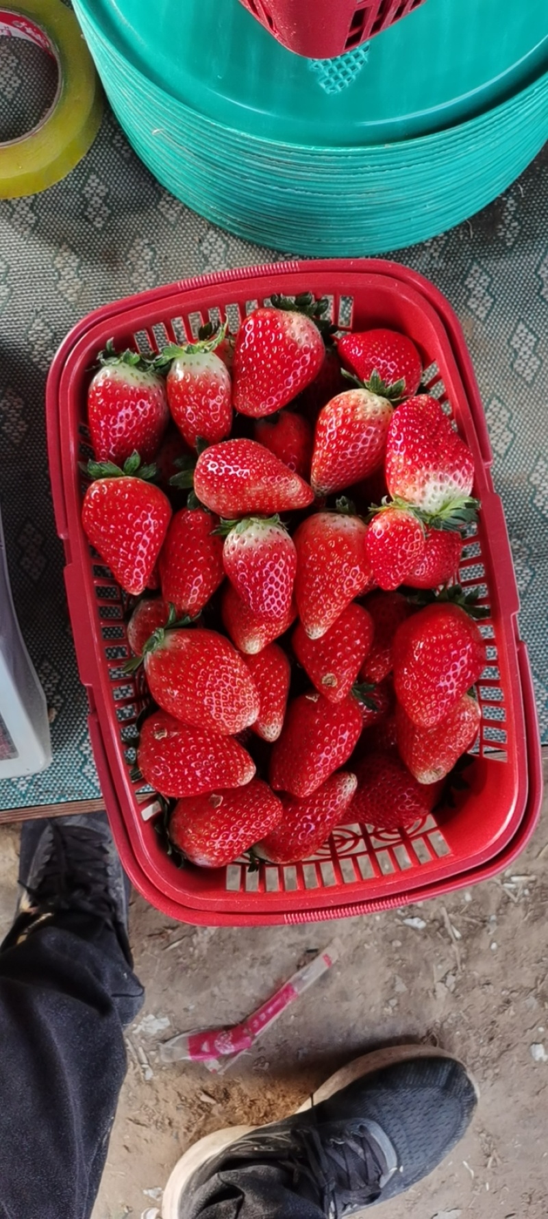 新鲜奶油草莓