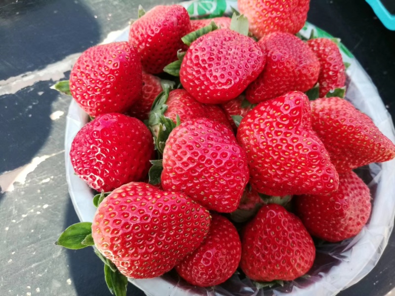 新鲜奶油草莓