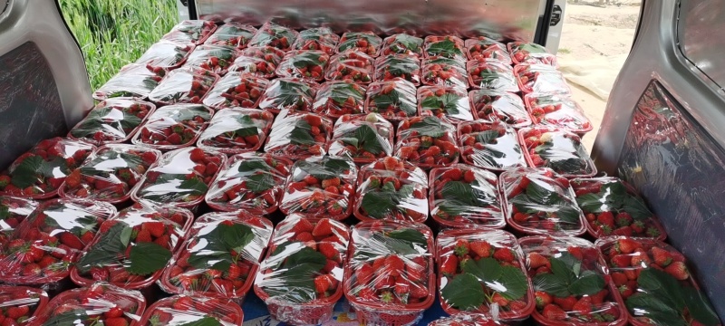 新鲜奶油草莓