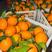 【精品】奉节脐橙大量供应保质保量，产地直发，新鲜采摘