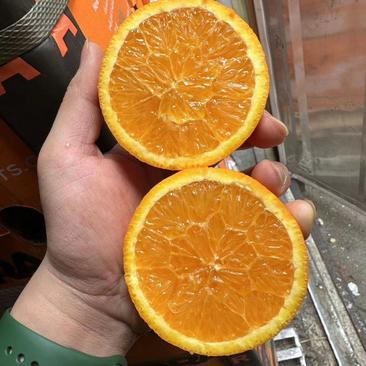 埃及橙，产地直发。货源充足，量大从优，品质保证